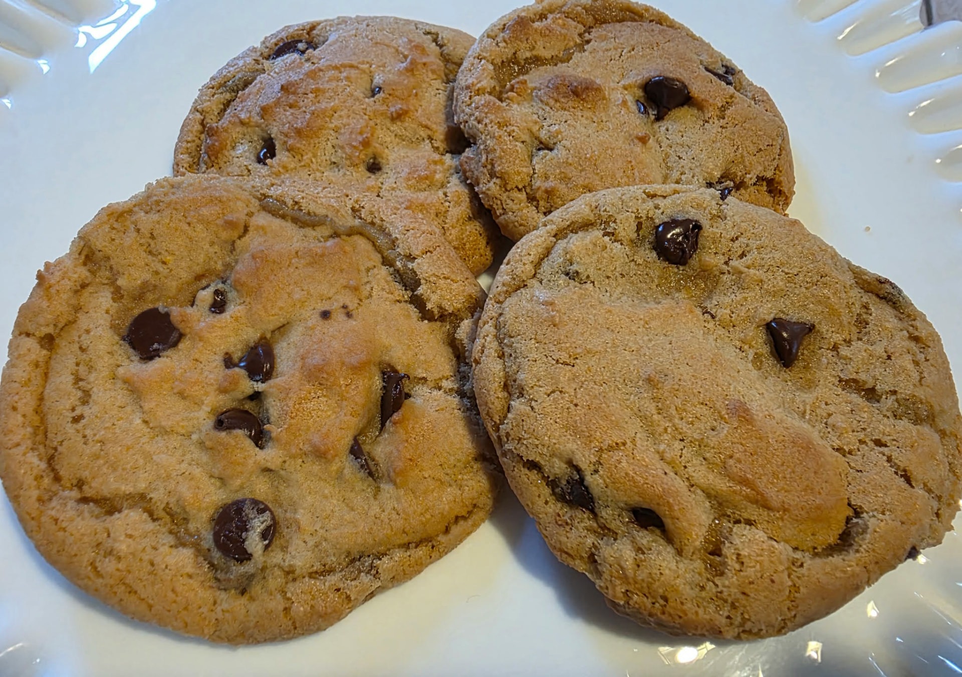 Sweet Steve Sourdough Chocolate Chip Cookies