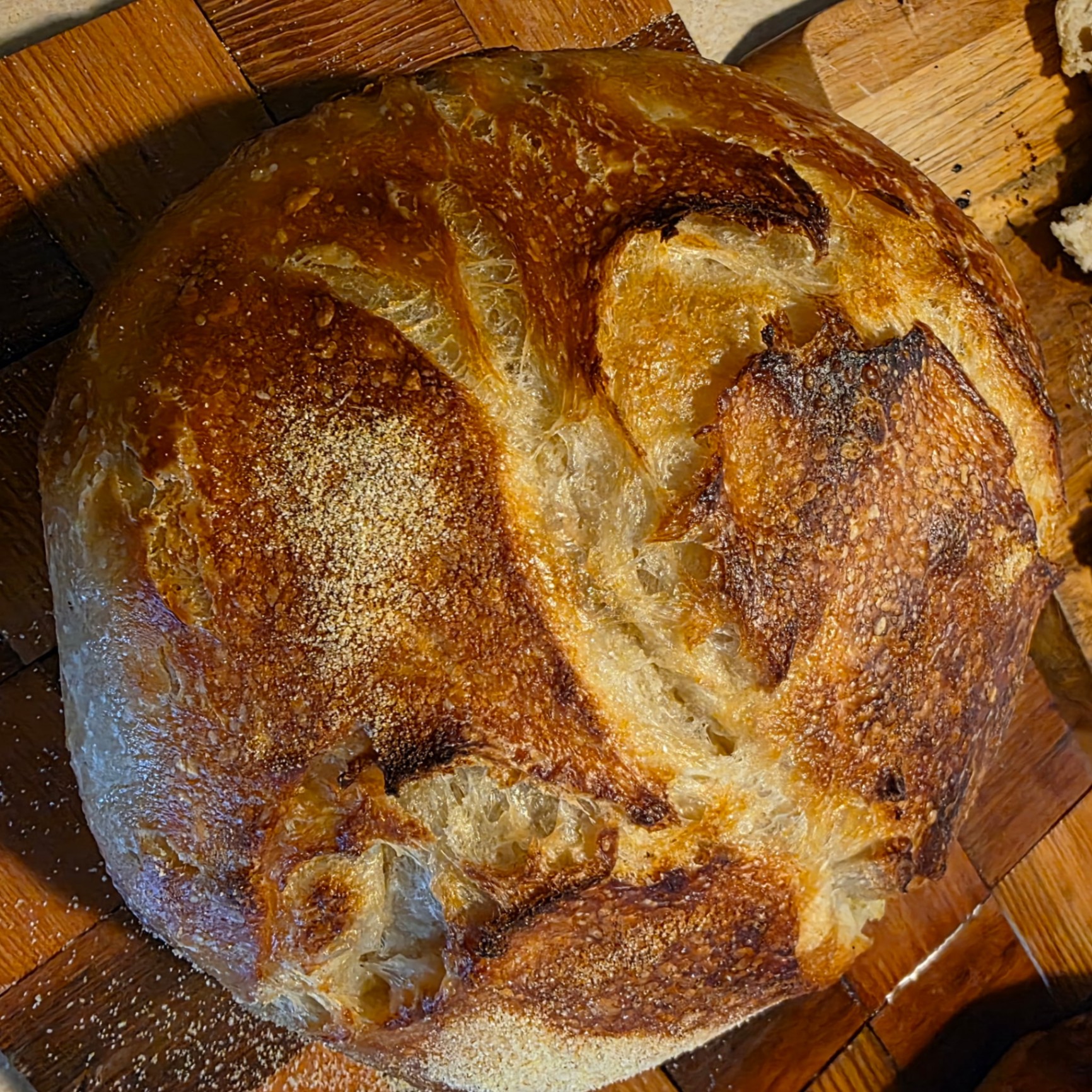 Traditional Sourdough Round