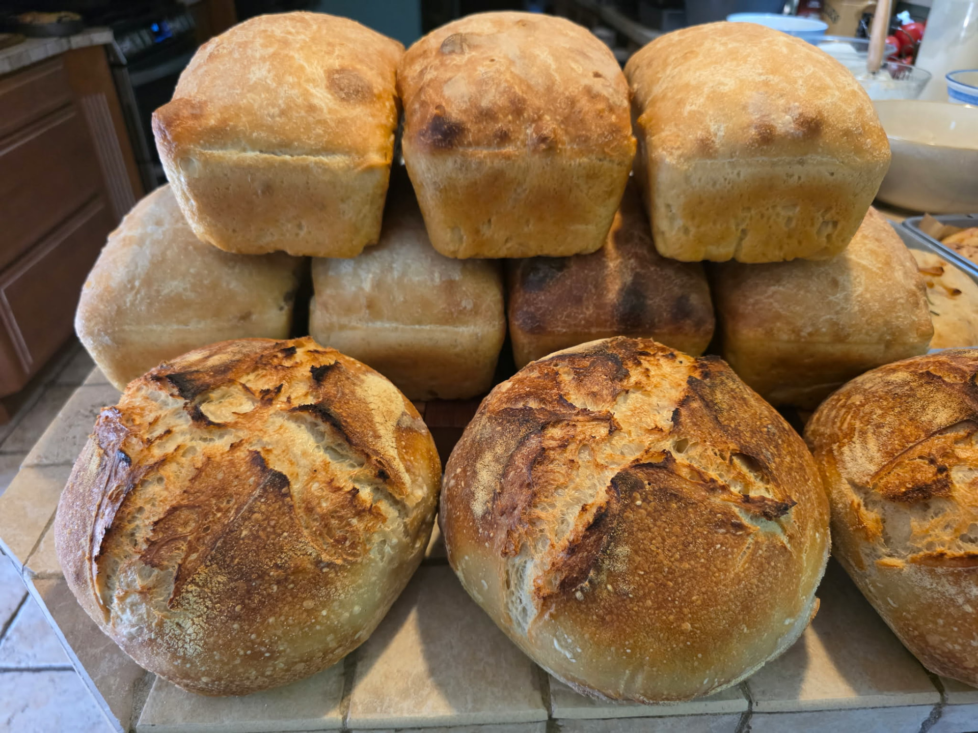 Sourdough rounds and sandwich loaves fresh from the oven